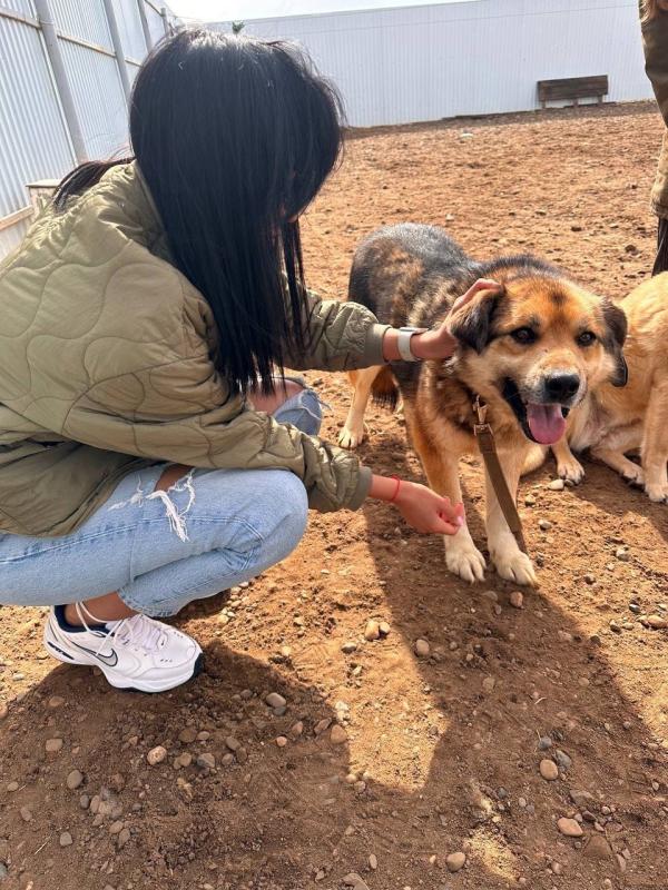 Мы в ответе за тех, кого приручили!